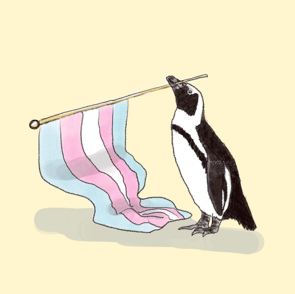 Pride,Trans,Nonbinary, Pan Penguins